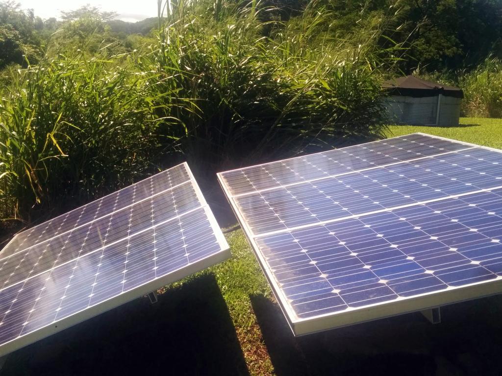 Hamakua Guesthouse Pepeekeo Eksteriør bilde